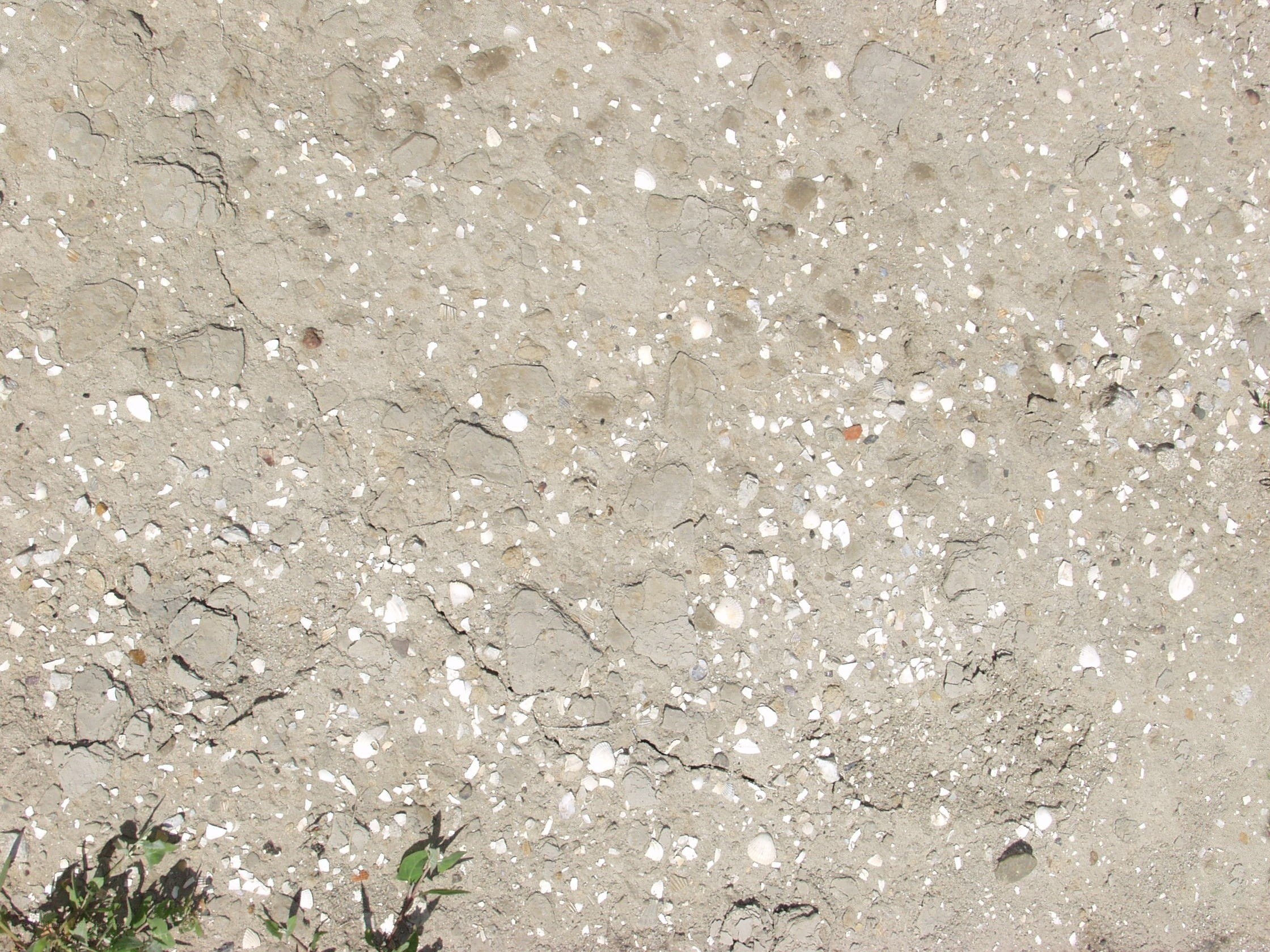 cracked concrete with shell fragments