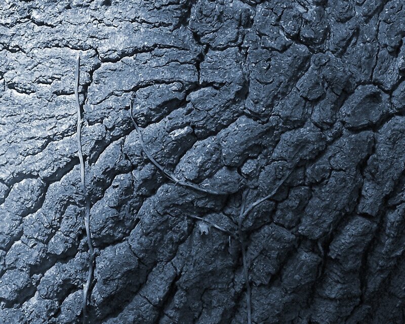 cracked dark soil texture