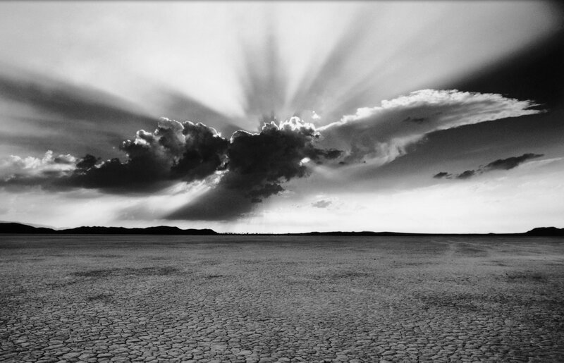 Cracked Desert Floor — Black