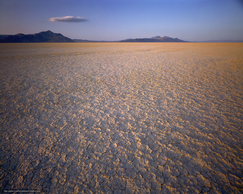Cracked Desert Floor — Brown, Arid