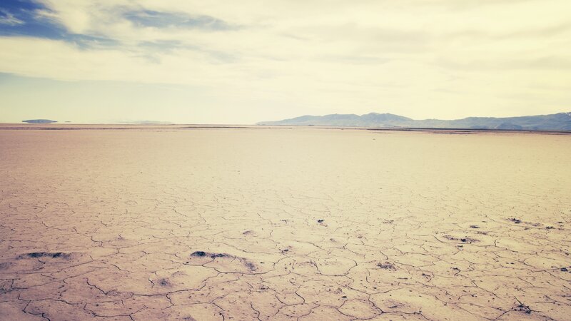 Cracked Desert Floor — Brown
