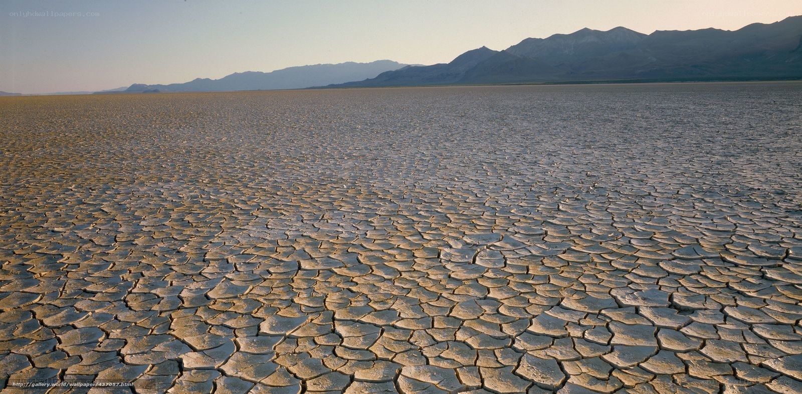 cracked desert floor