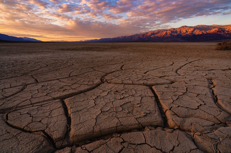 Cracked Desert Ground — Brown, Dramatic