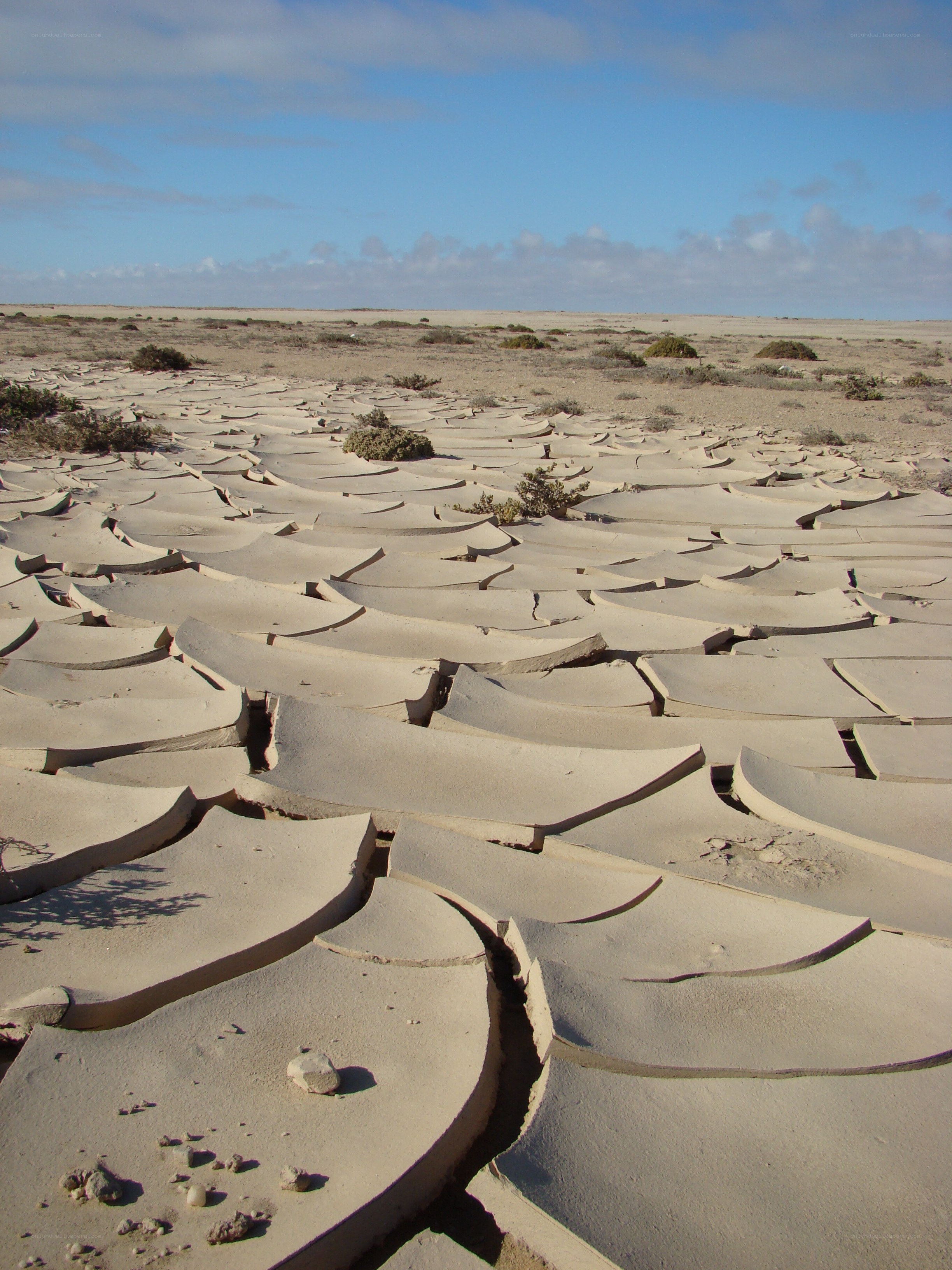 cracked desert ground