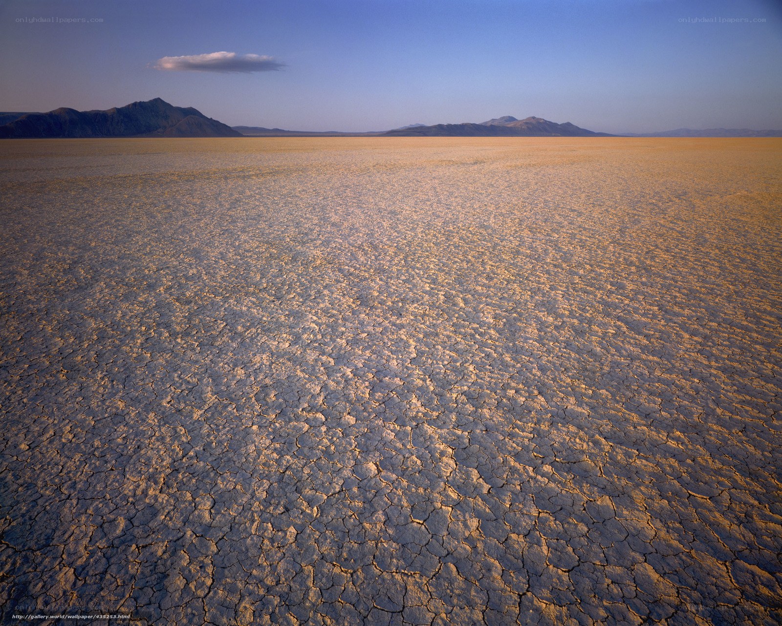 cracked desert landscape