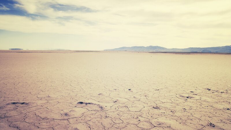 cracked desert landscape