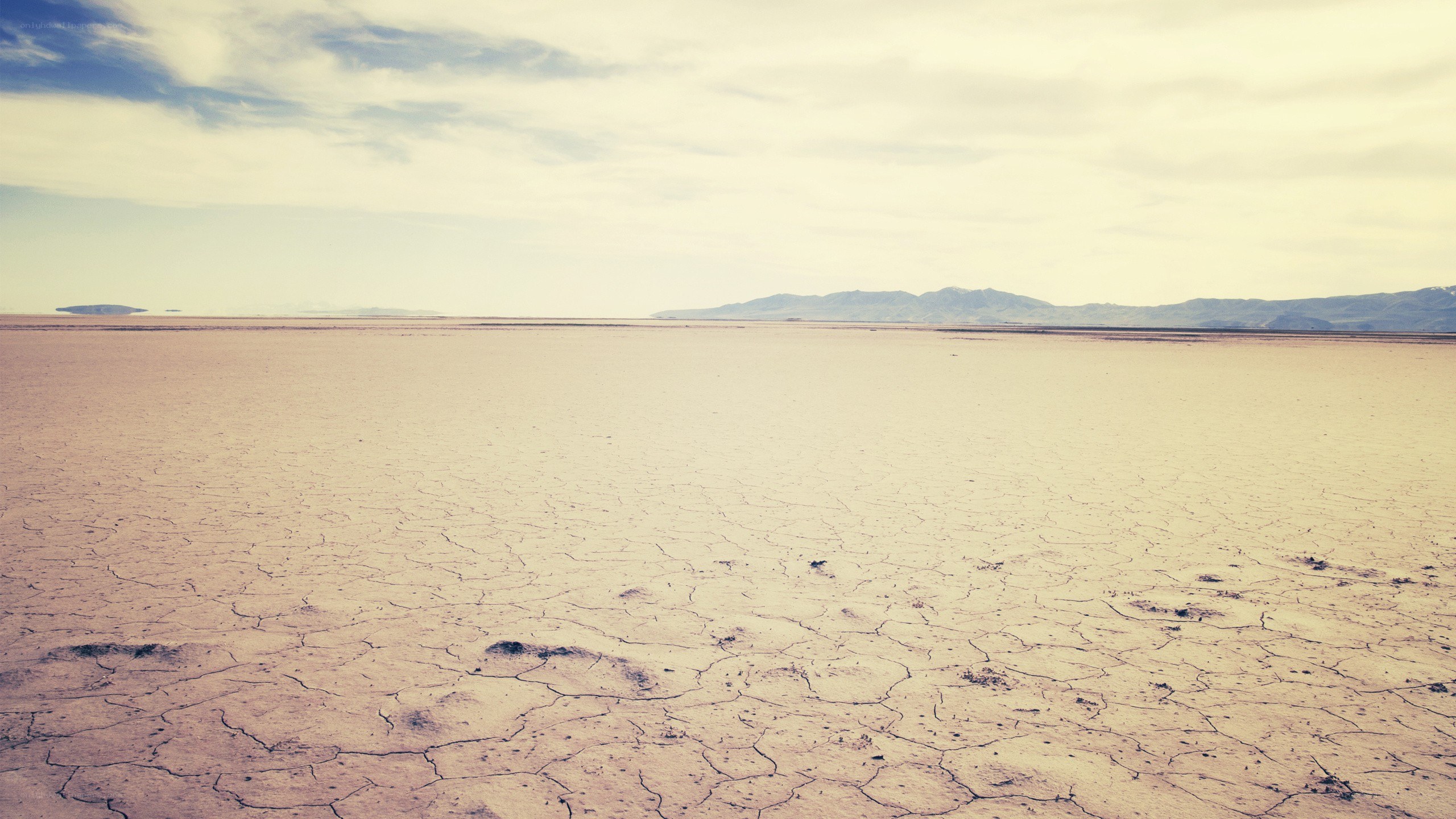 cracked desert landscape