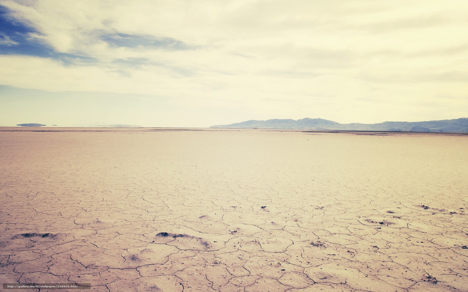 cracked desert landscape