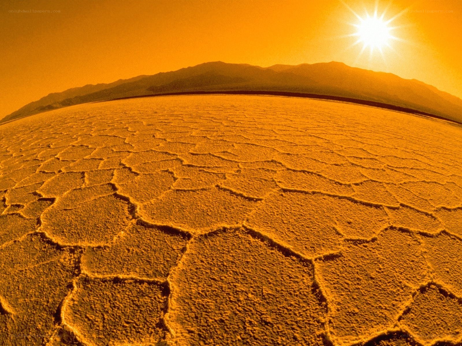 Cracked desert under a bright sun
