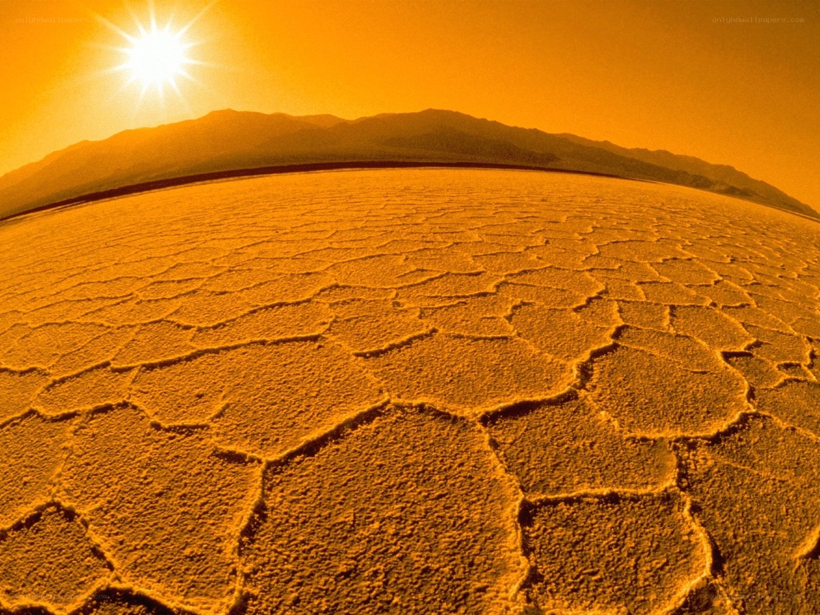 cracked desert under sun