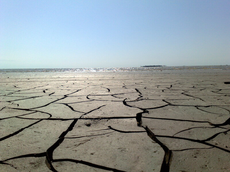 Cracked dry beach landscape