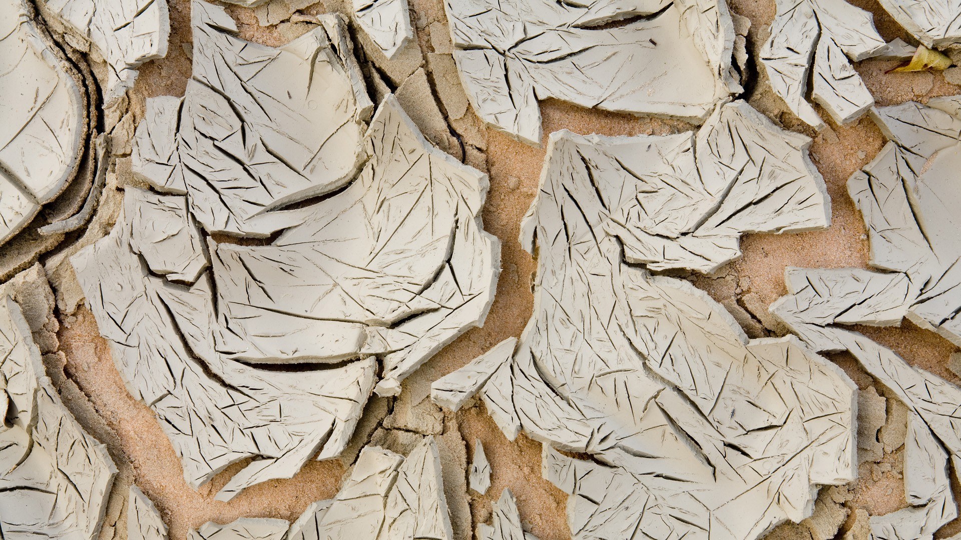 cracked dry clay surface
