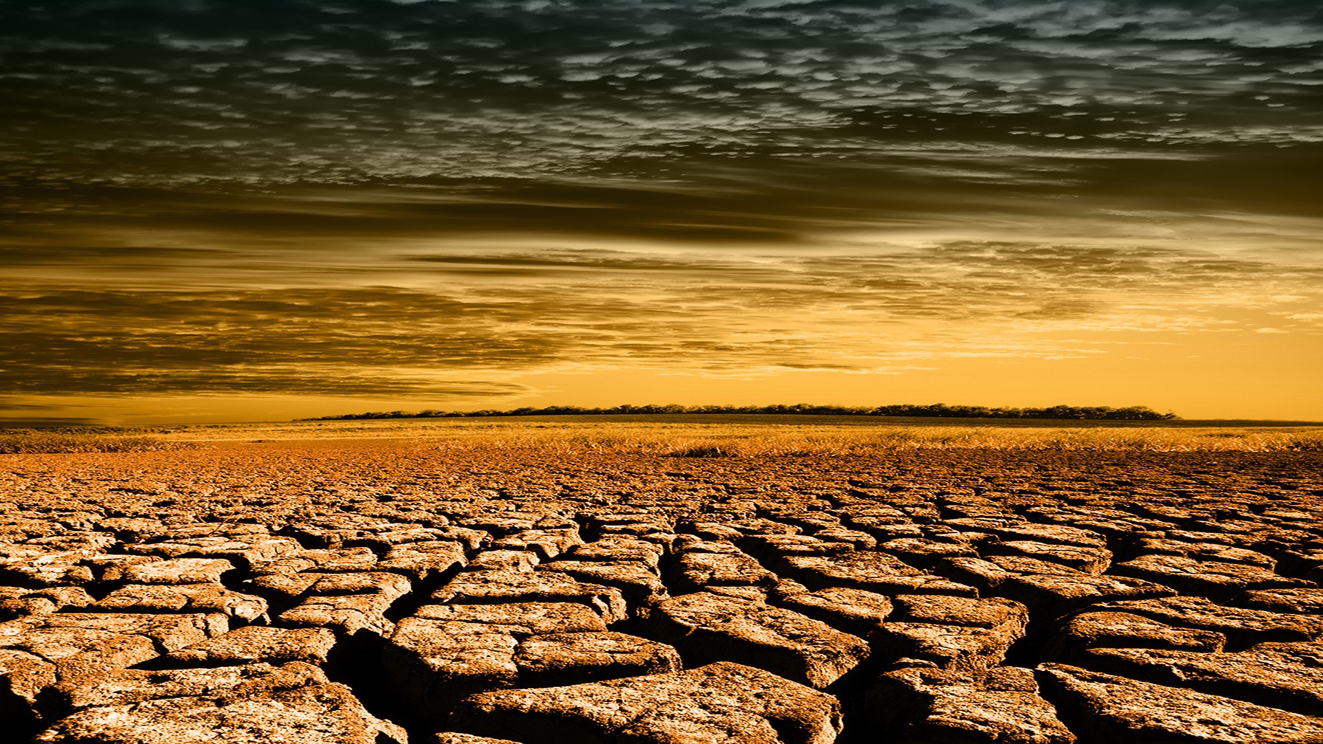 cracked dry earth at sunset