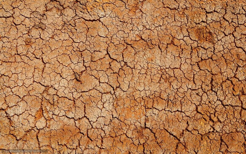 Cracked Dry Earth — Brown, Arid, Photograph