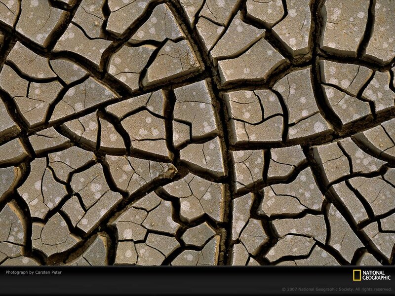 Cracked Dry Earth — Brown, Arid