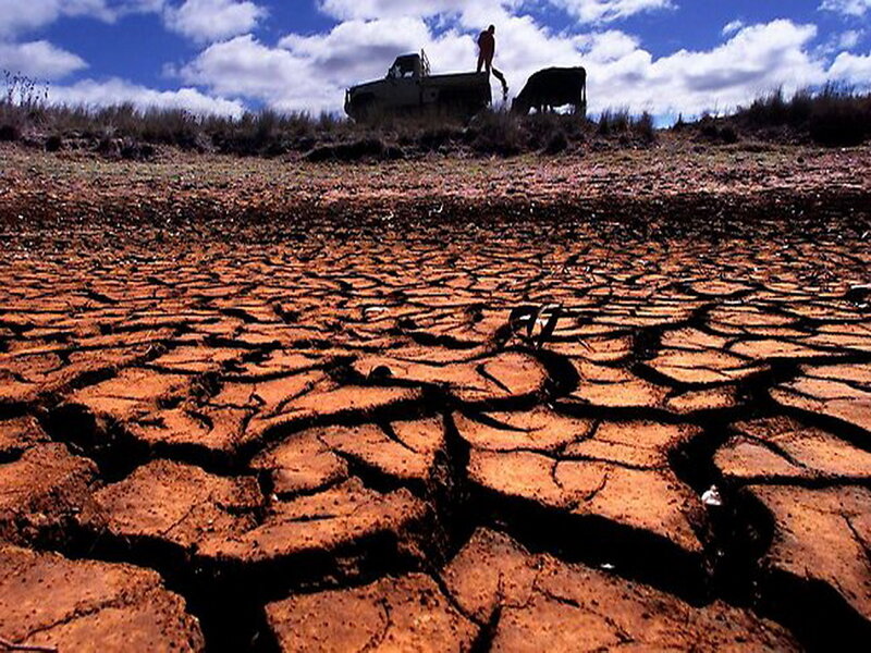 Cracked Dry Earth — Brown, Dramatic, Afternoon