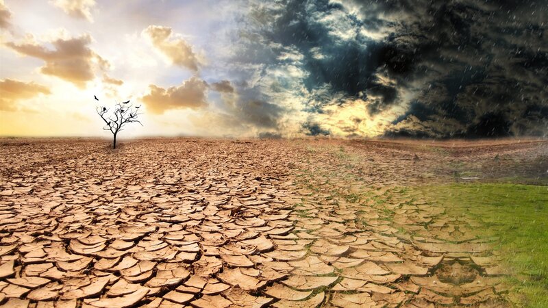 Cracked Dry Earth — Brown, Dramatic, Sunset, Photograph, Tree