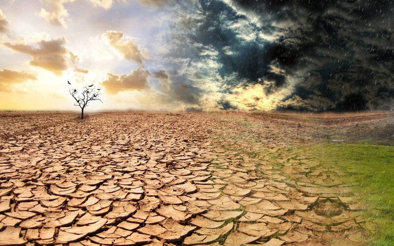 Cracked Dry Earth — Brown, Dramatic