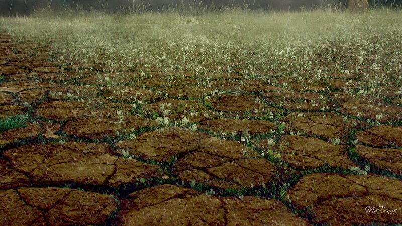 Cracked Dry Earth — Brown
