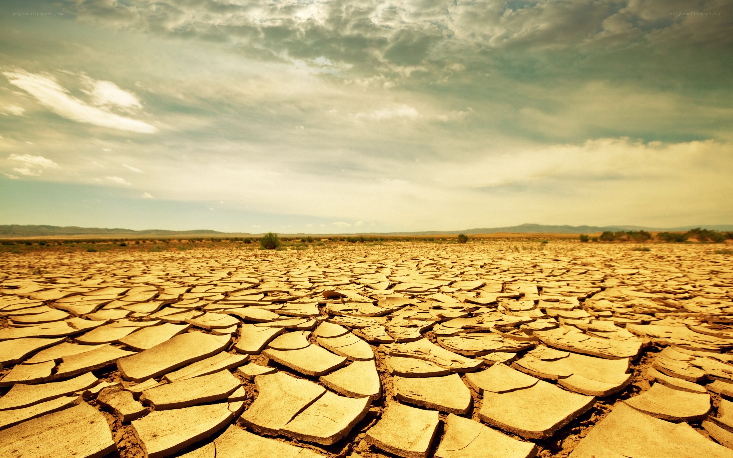 Cracked dry earth landscape