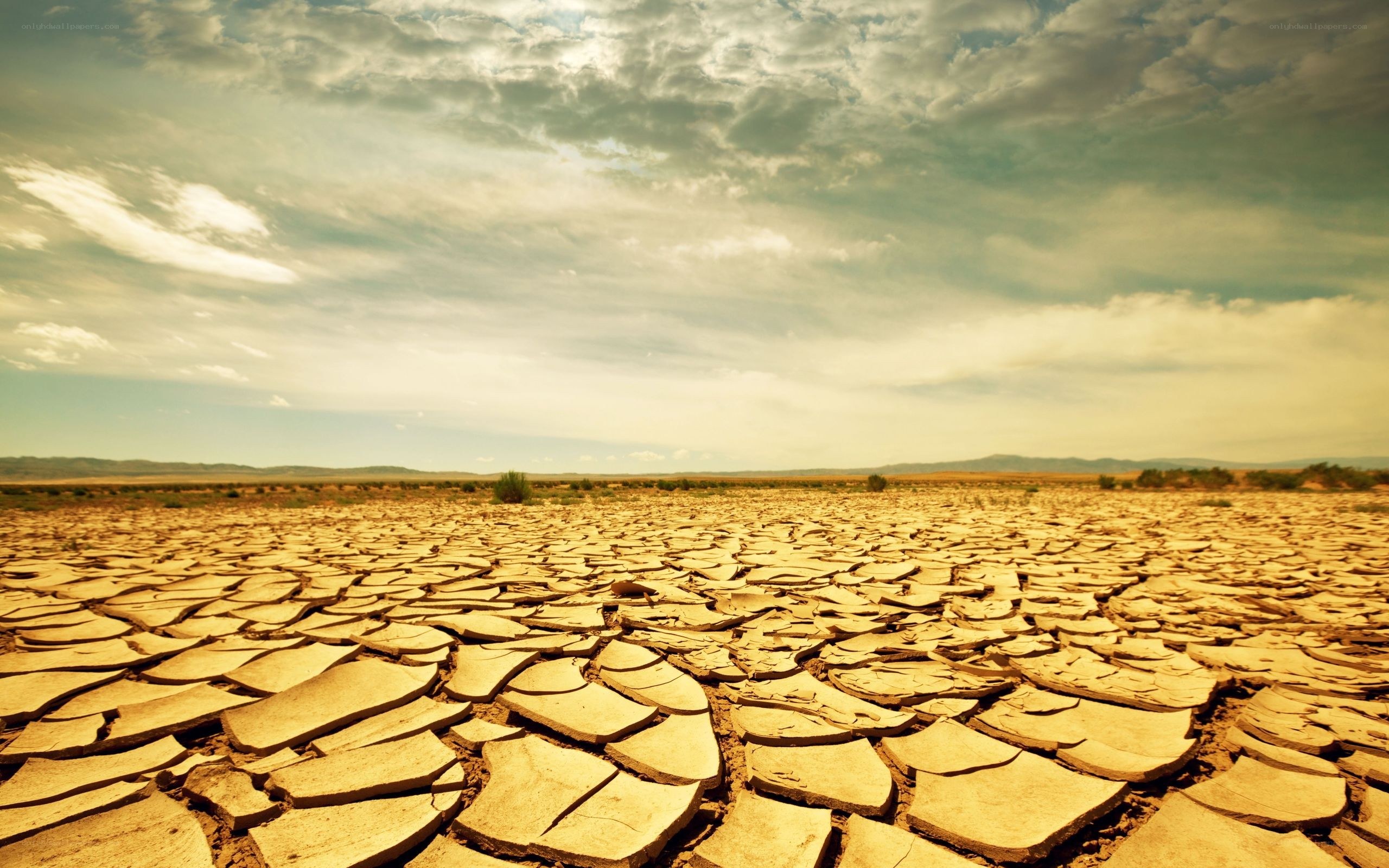 cracked dry earth landscape