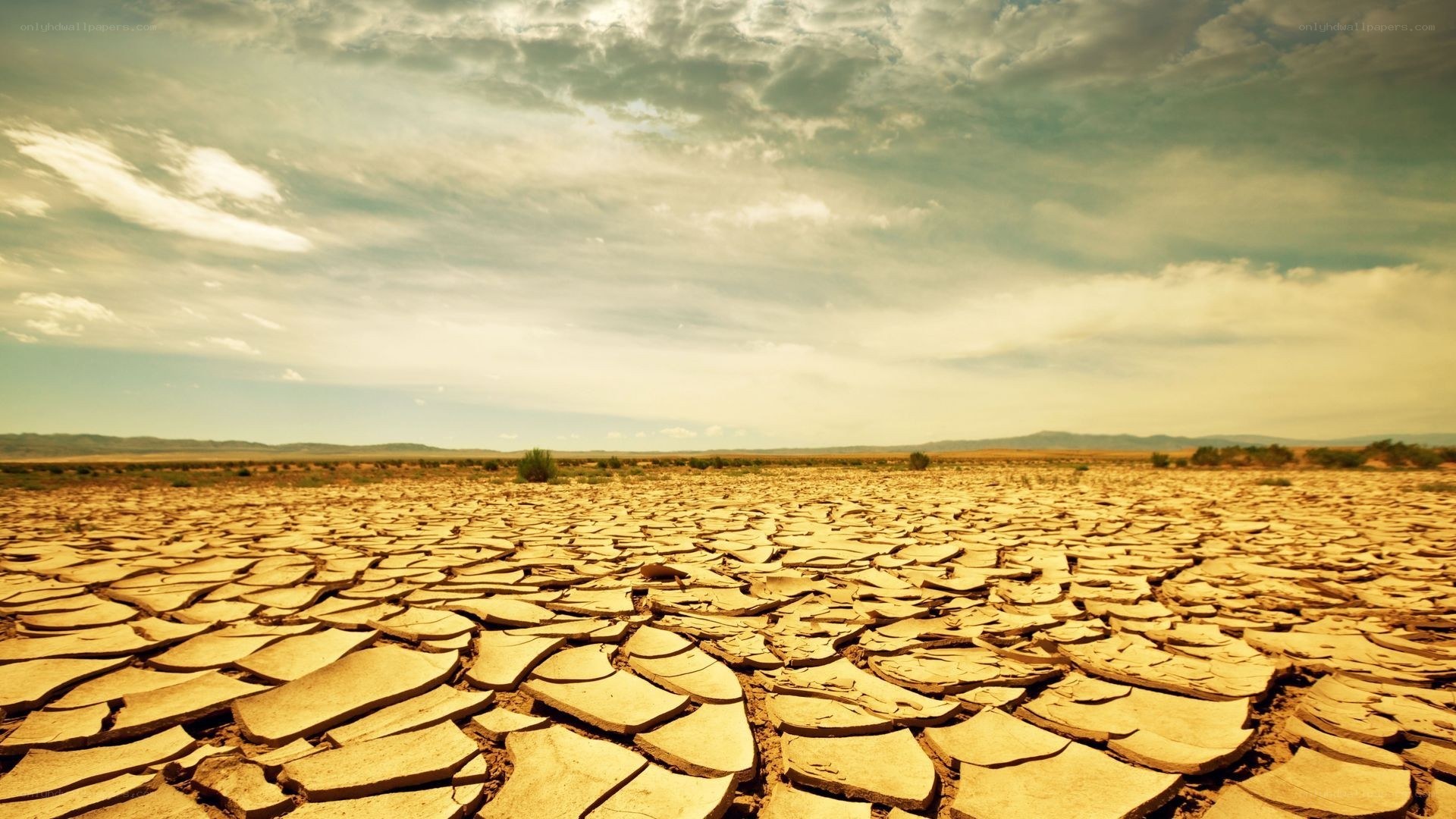 cracked dry earth landscape