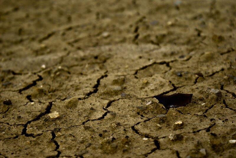 cracked dry earth surface