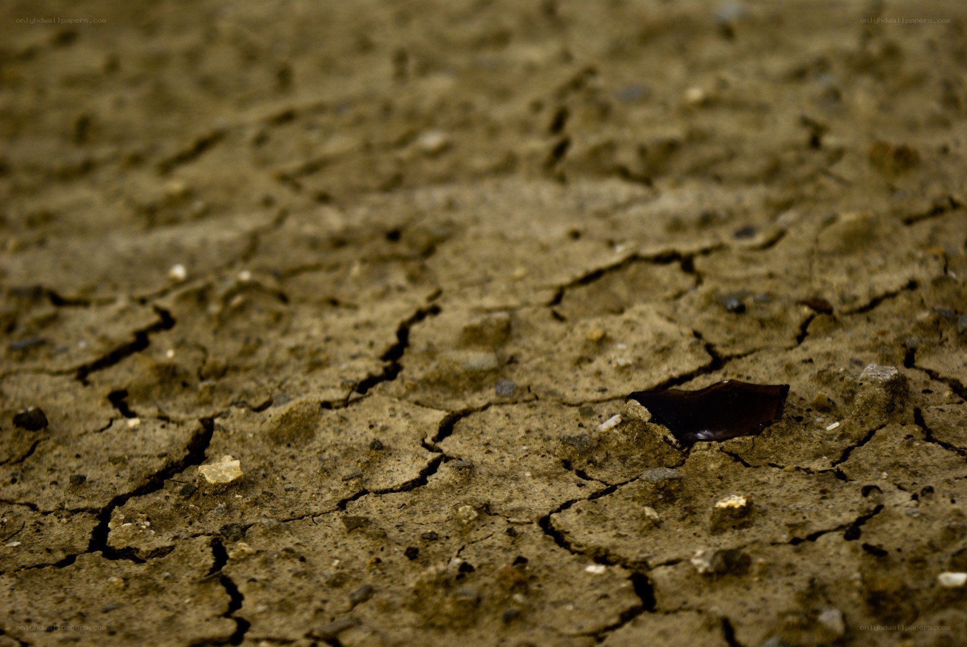 cracked dry earth surface