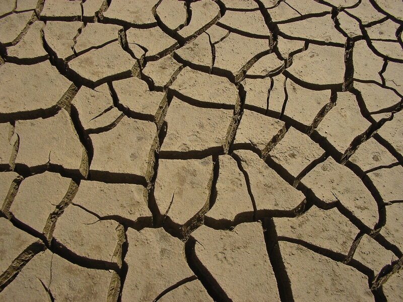 cracked dry earth surface