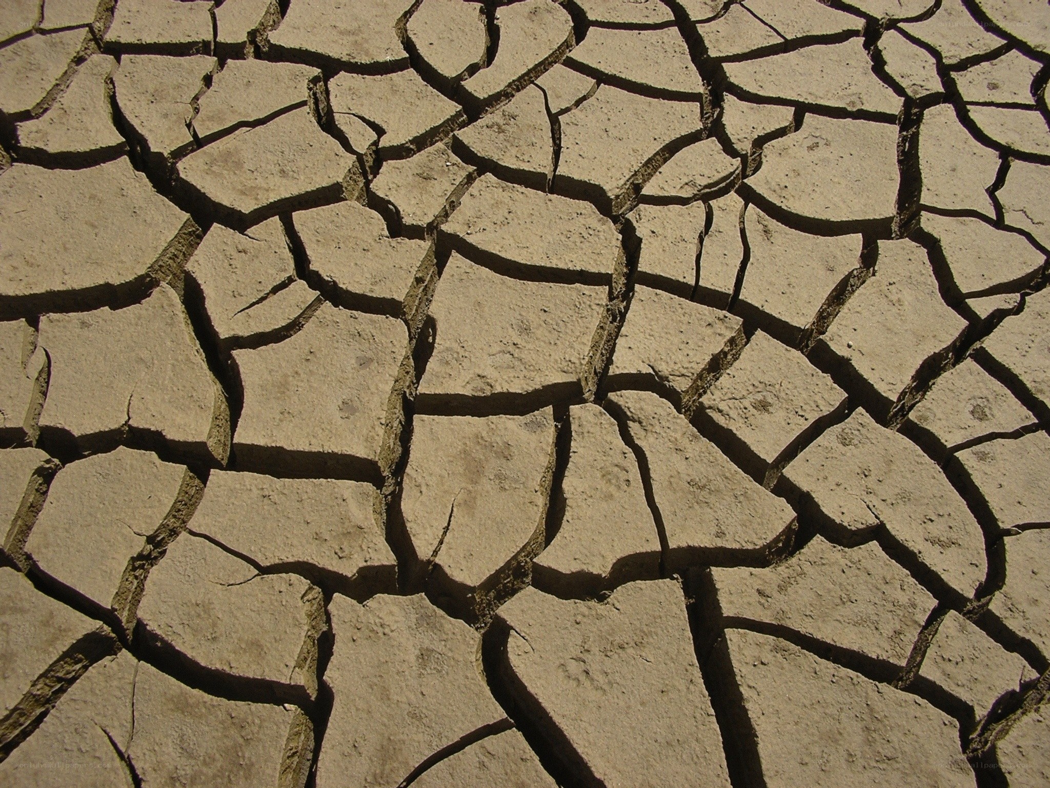 cracked dry earth surface
