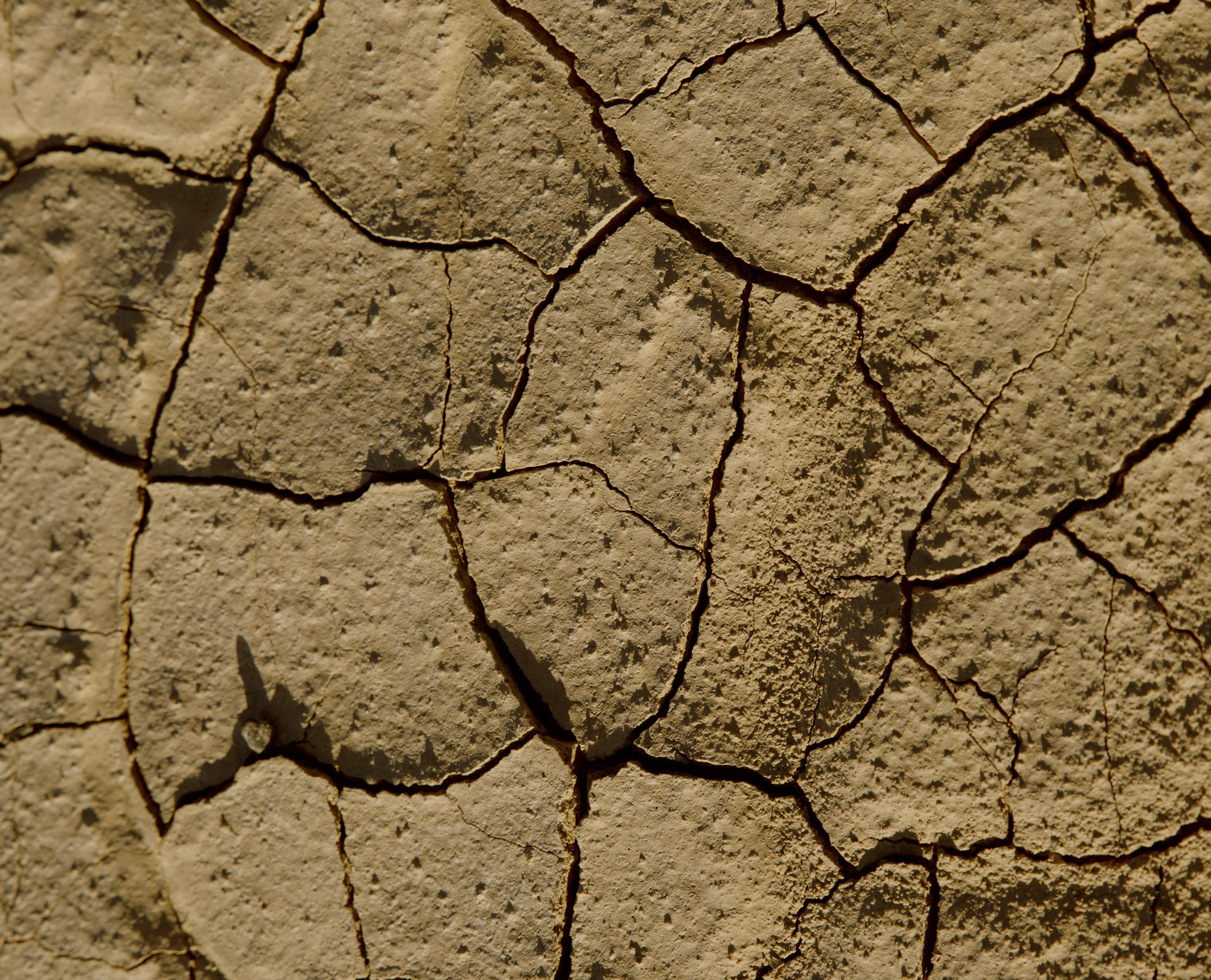cracked dry earth surface