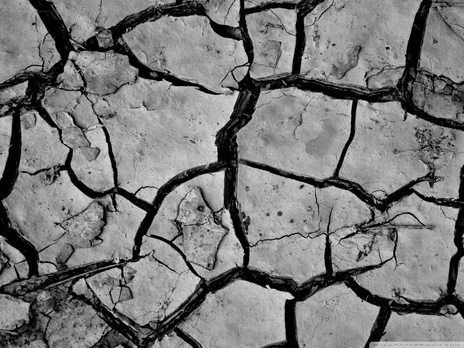 cracked dry earth surface