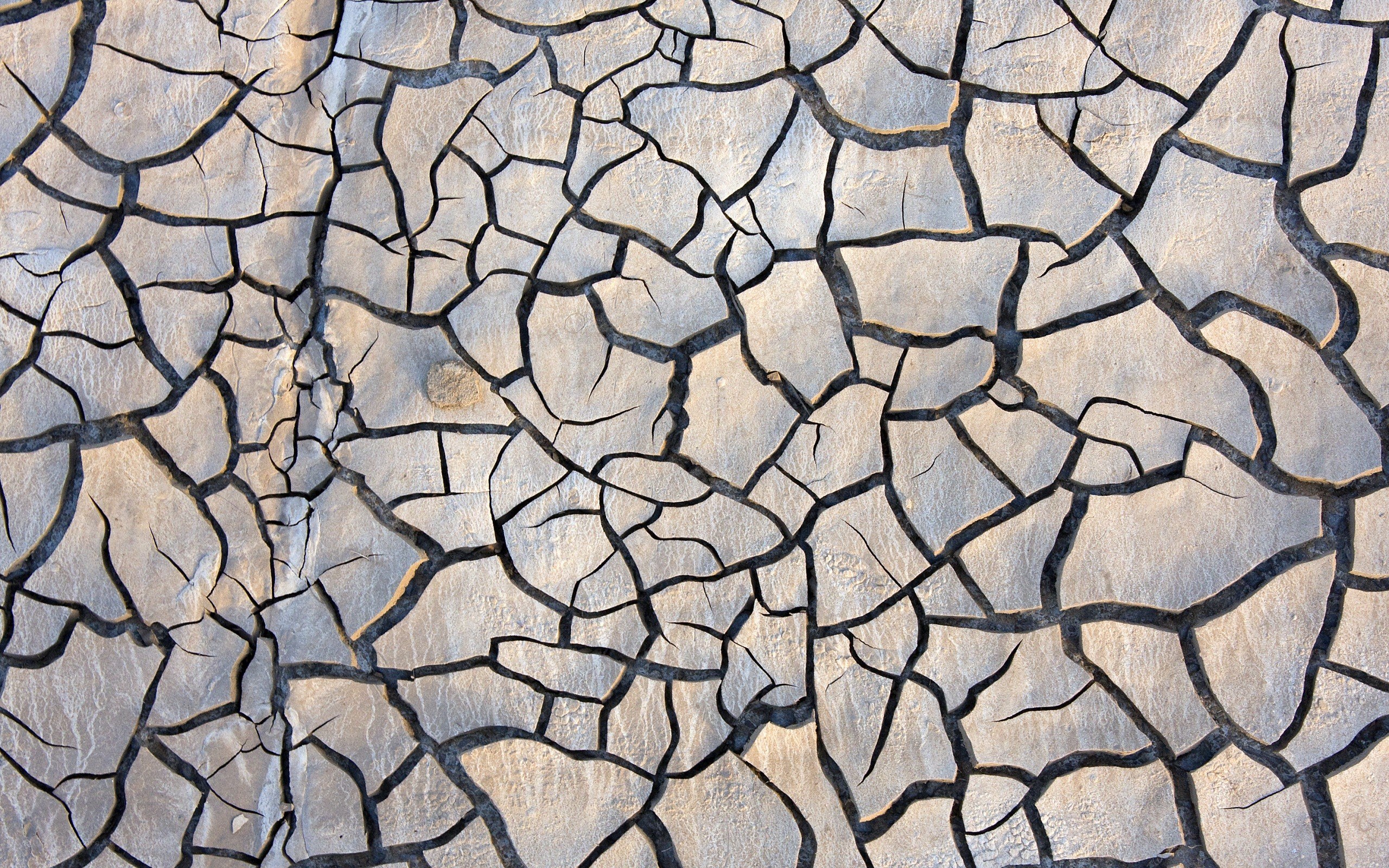 cracked dry earth surface