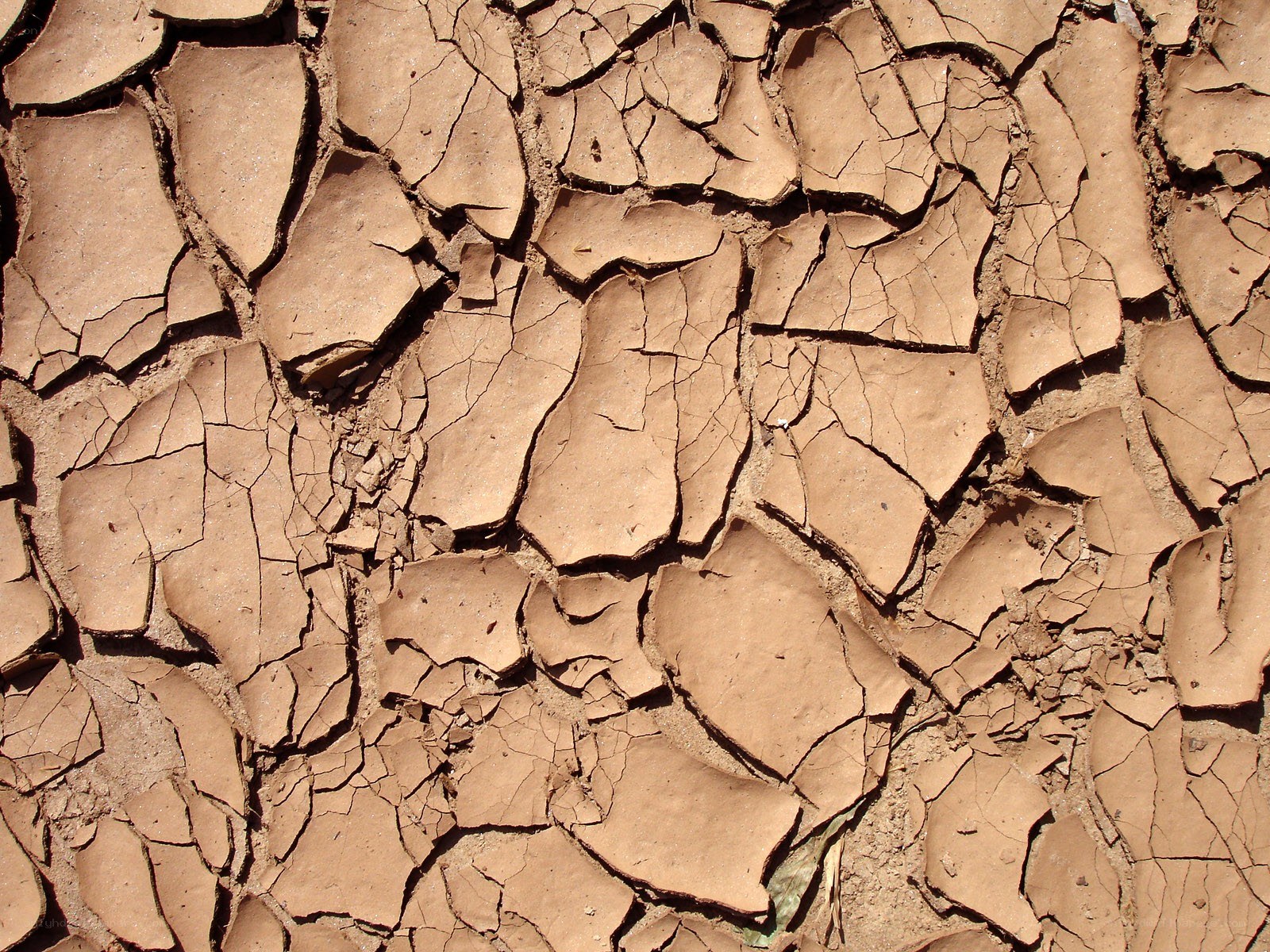 cracked dry earth surface