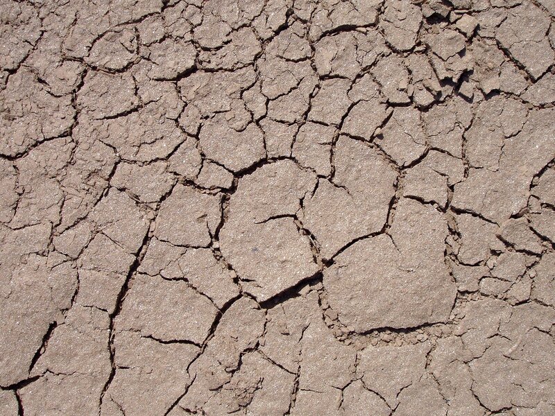 cracked dry earth surface