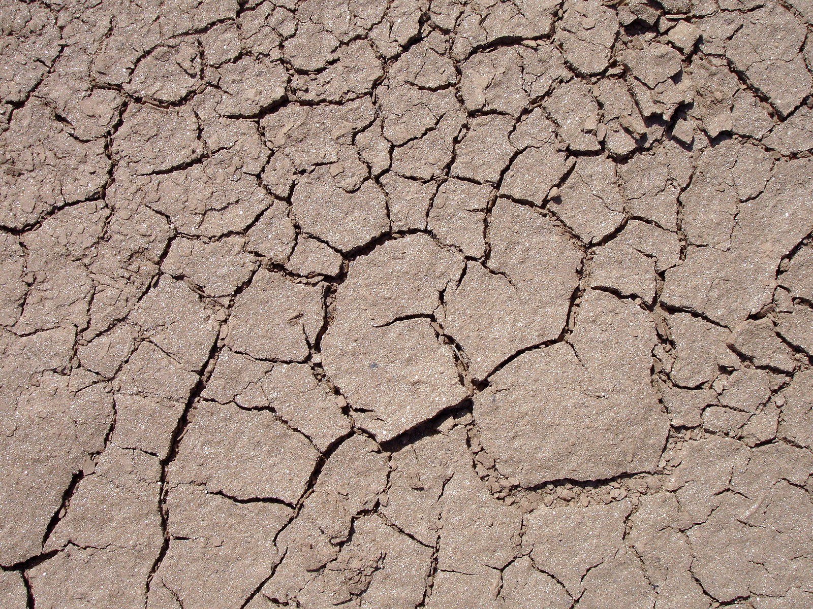 cracked dry earth surface