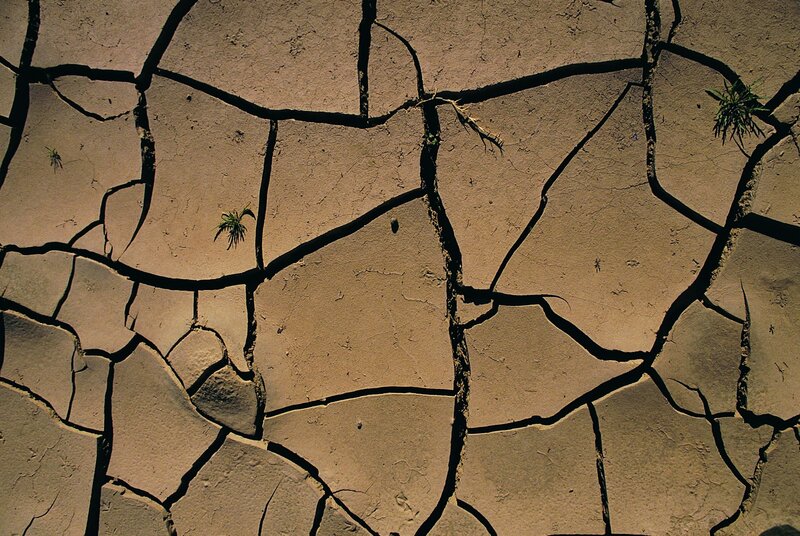 cracked dry earth surface
