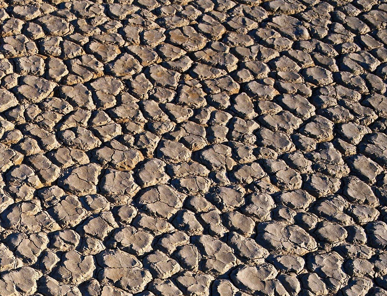 cracked dry earth surface