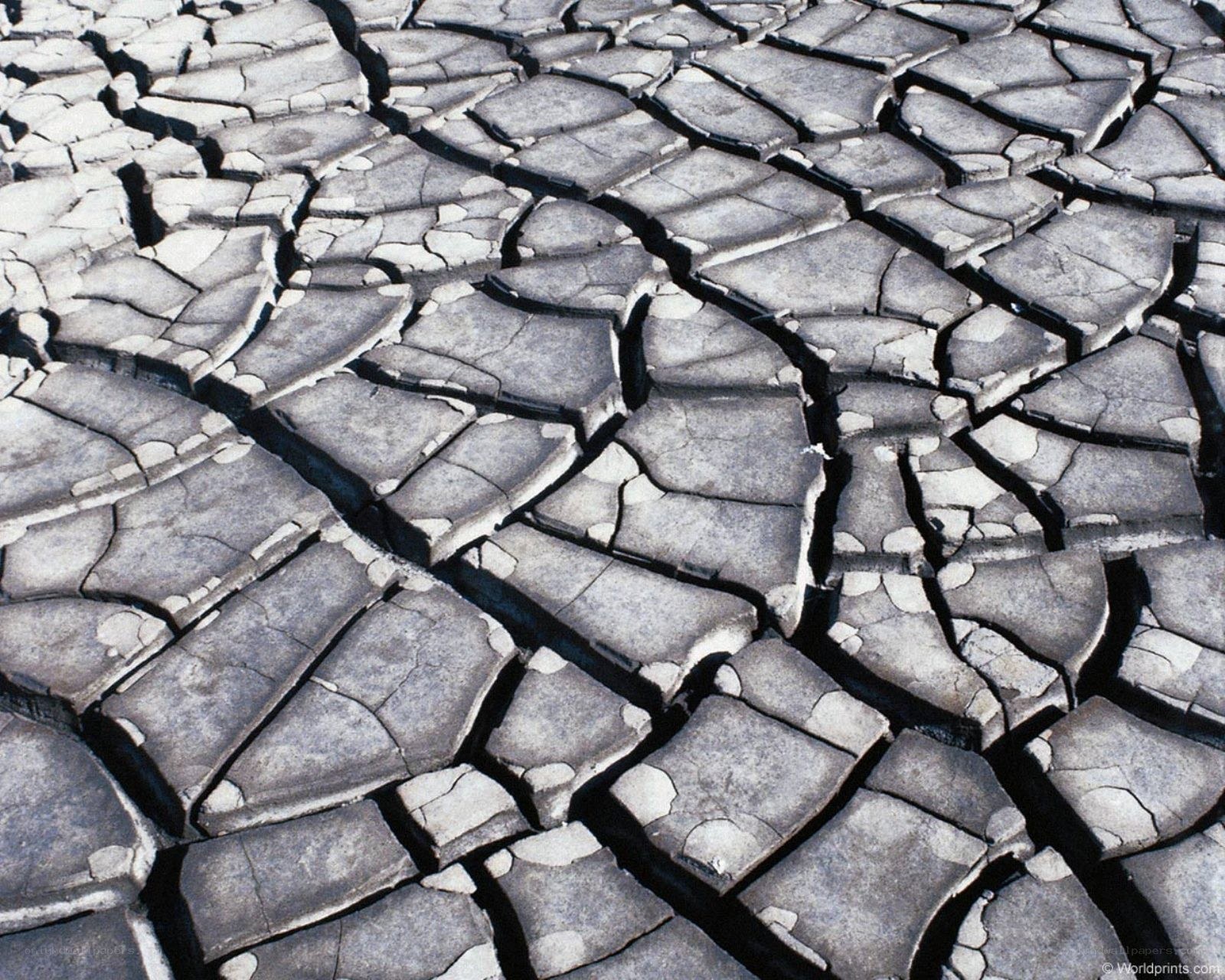 cracked dry earth surface
