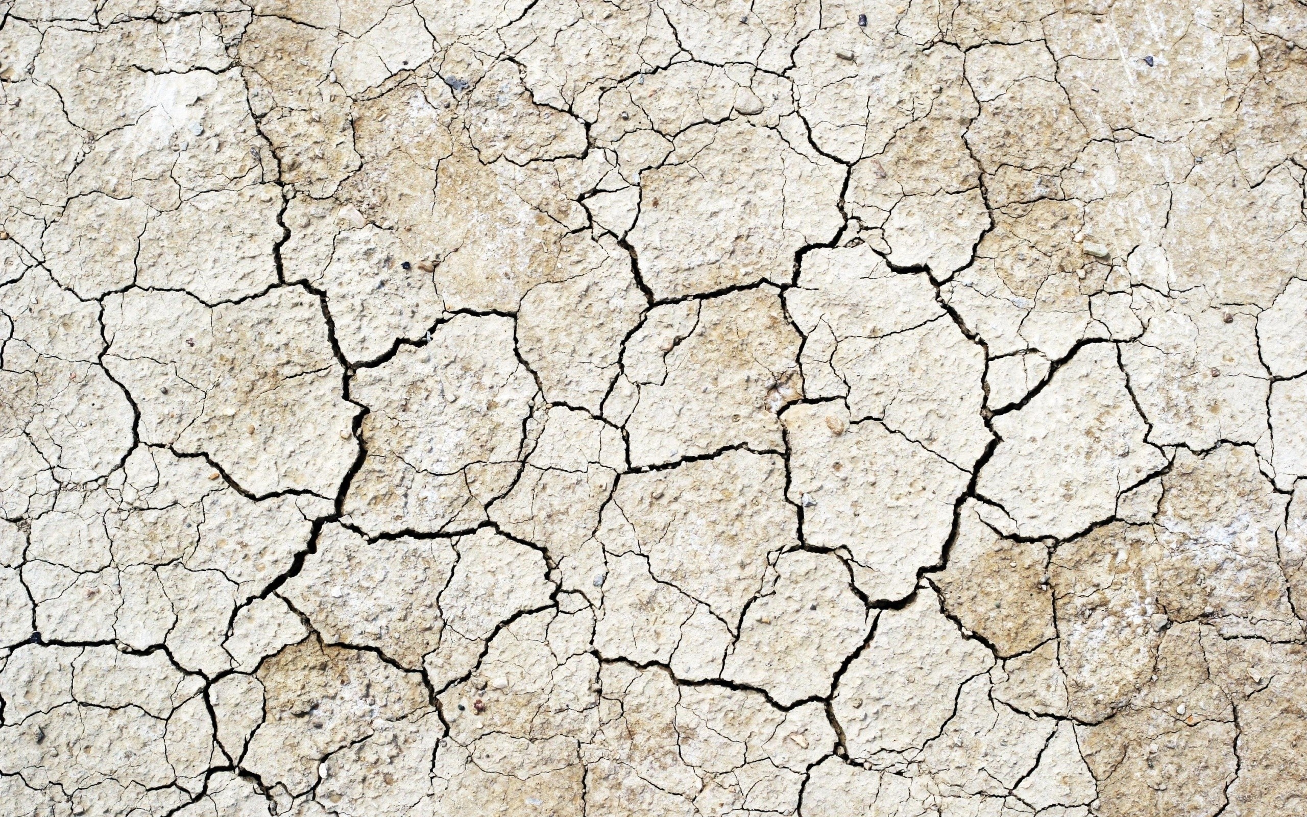 cracked dry earth surface