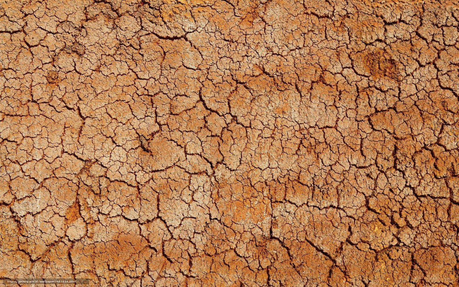 cracked dry earth surface
