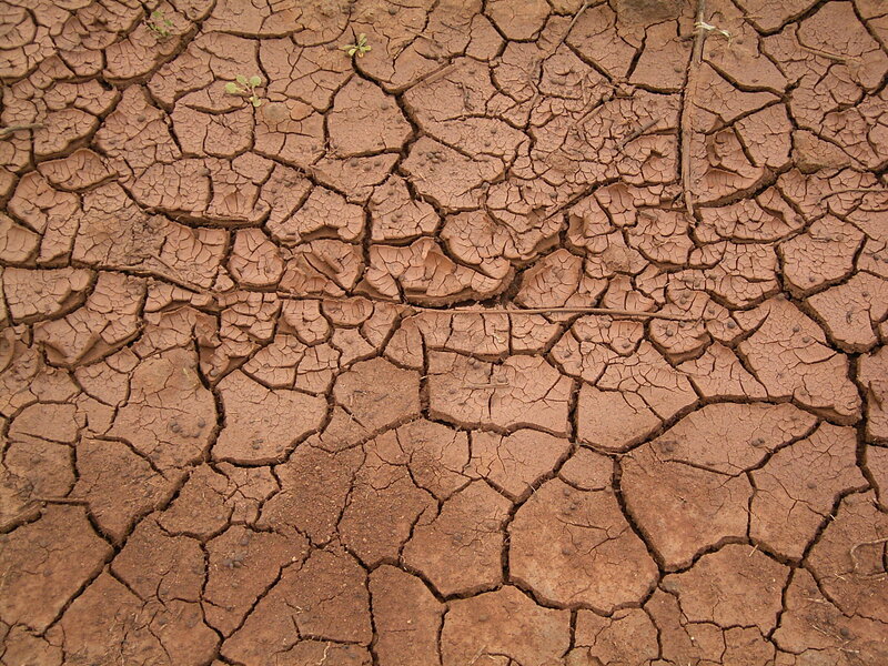 cracked dry earth surface