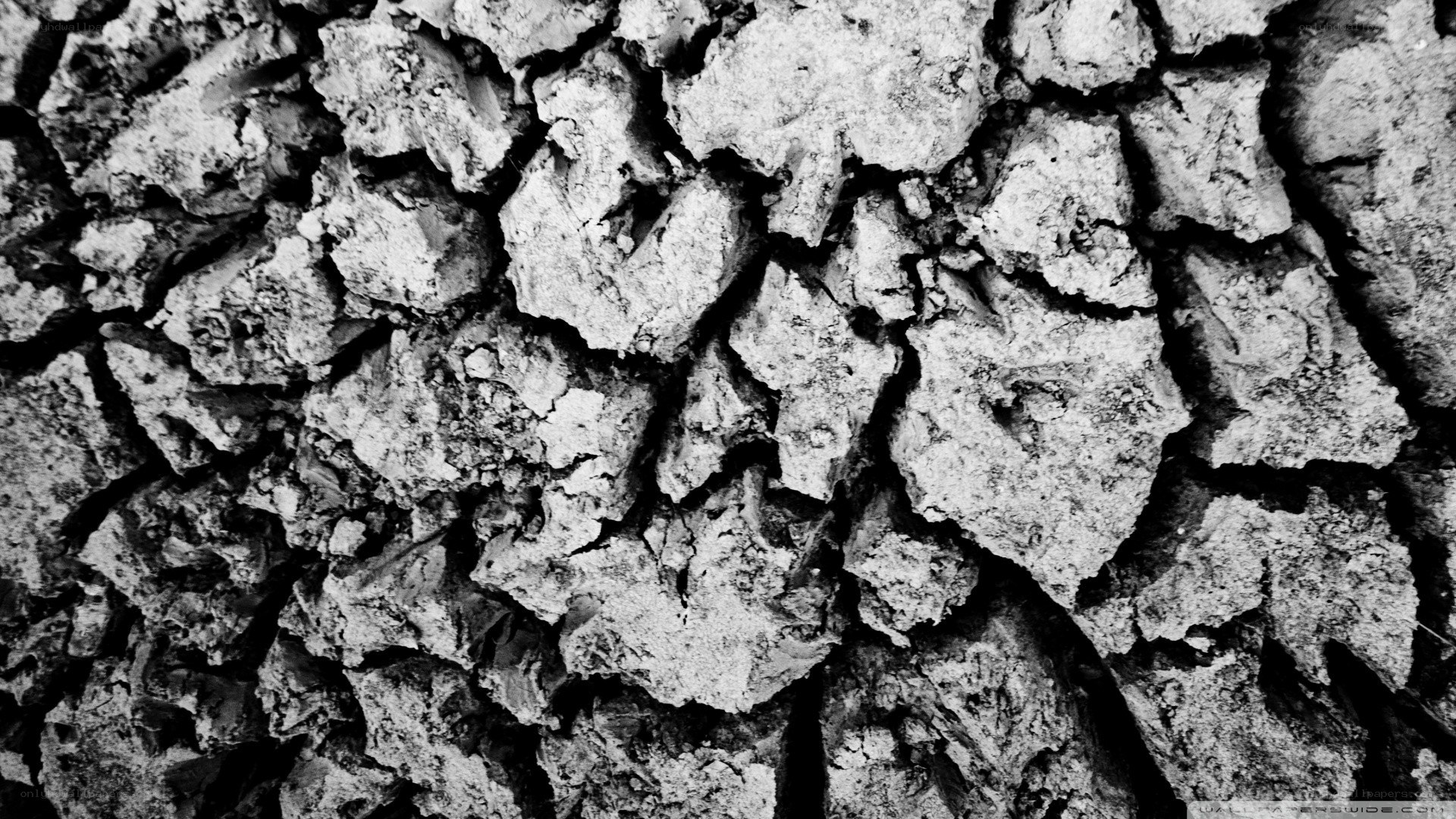 cracked dry earth texture