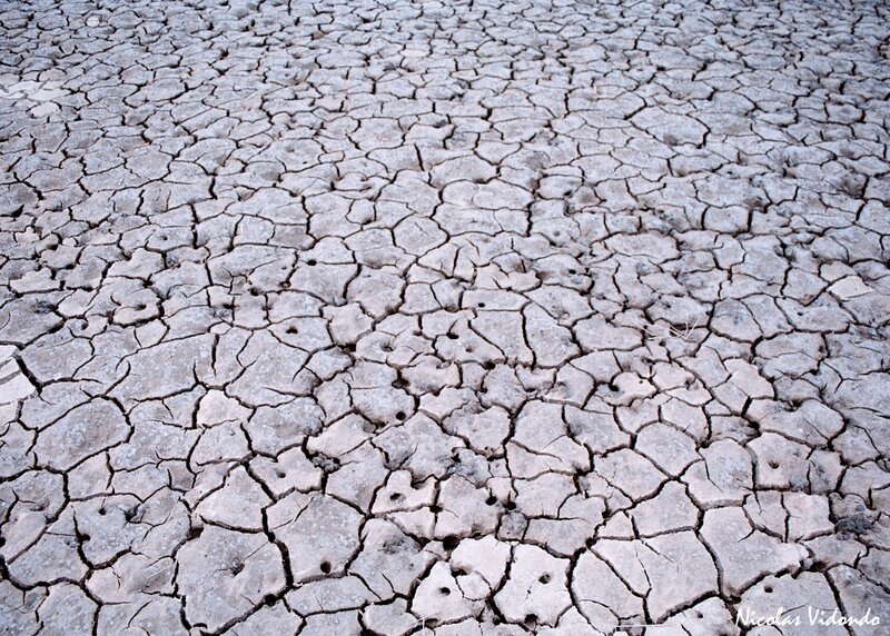 cracked dry earth