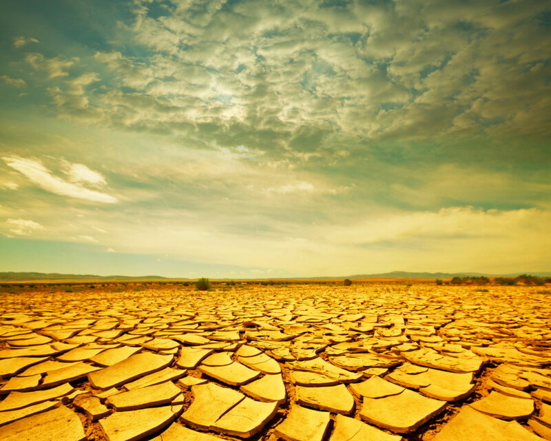 Cracked Dry Earth — Yellow, Dramatic