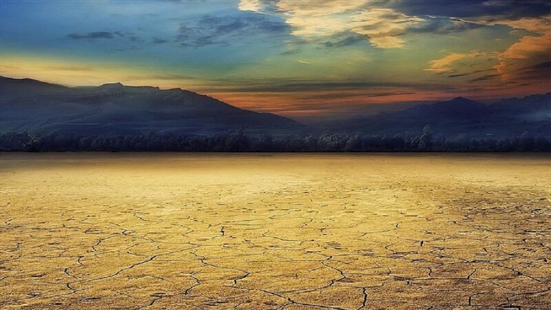 Cracked Dry Ground — Brown