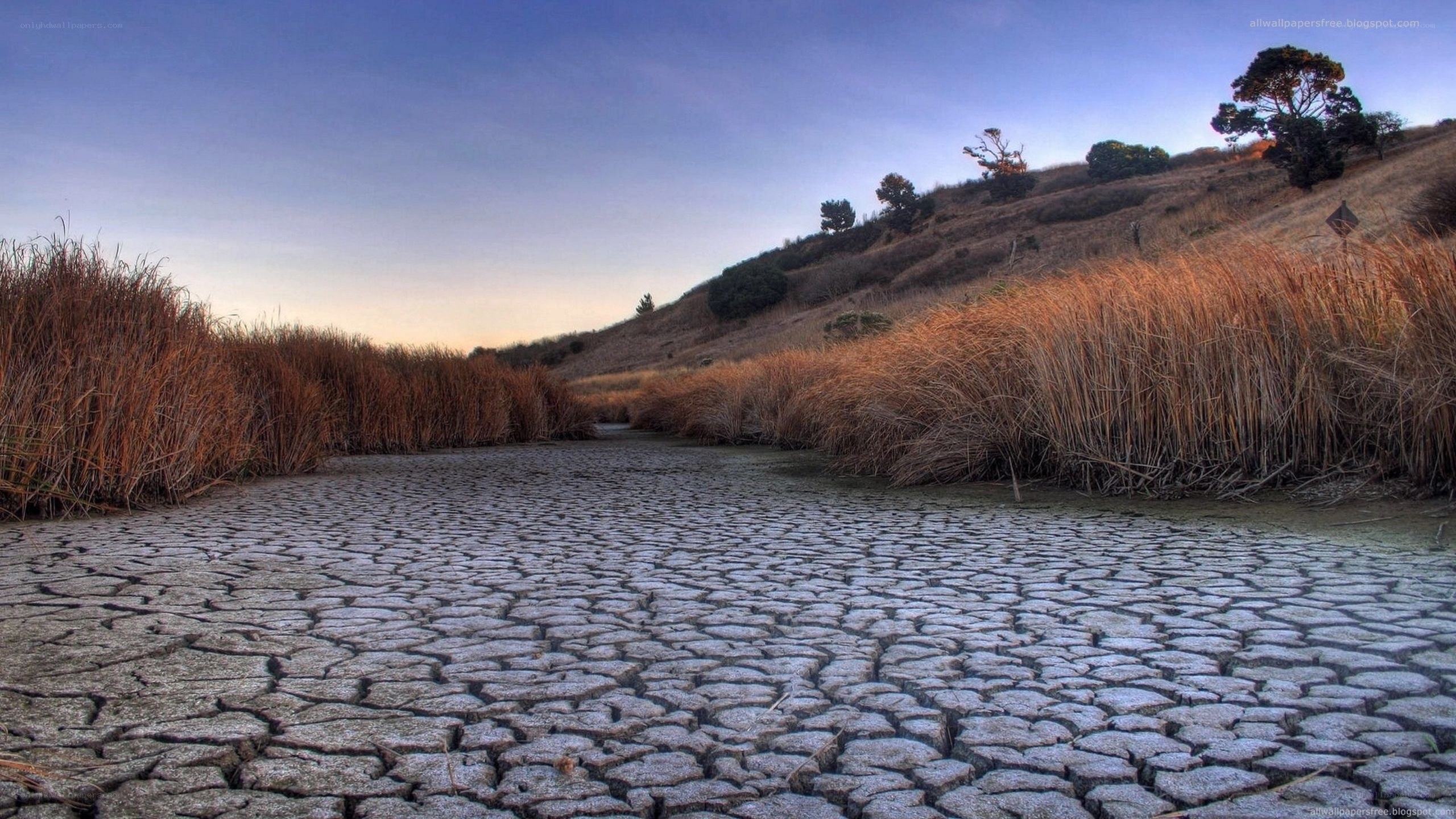 cracked dry lake bed