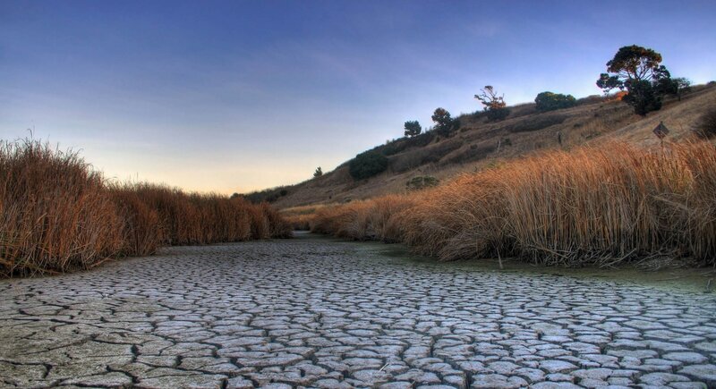Cracked Dry Lake Bed — Brown