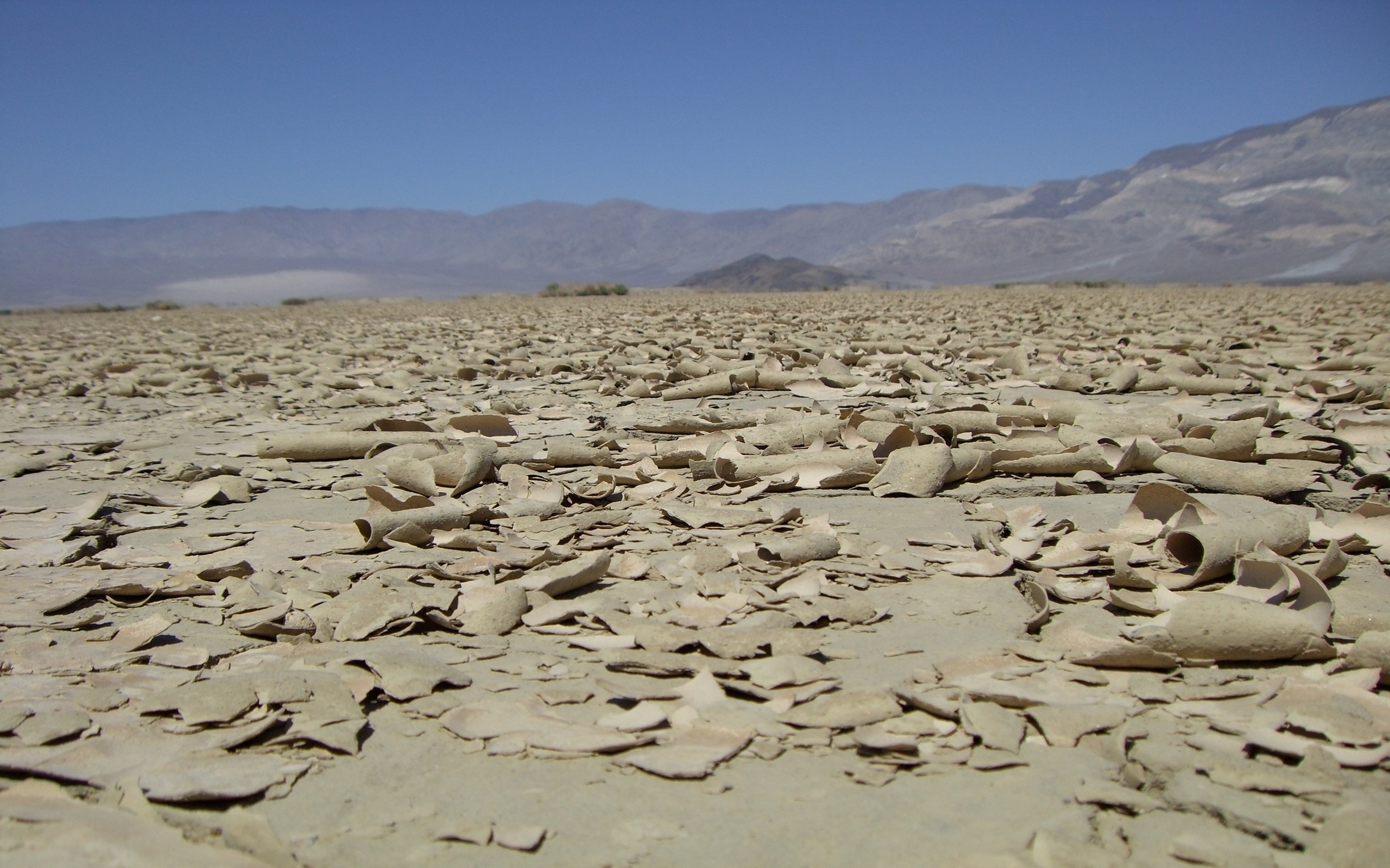 cracked dry lake bed