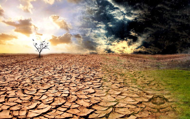 Cracked Dry Land — Brown